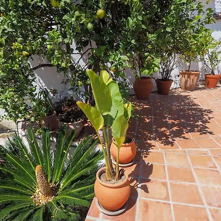 Paradise - Casa Del Barranco Villa Nerja